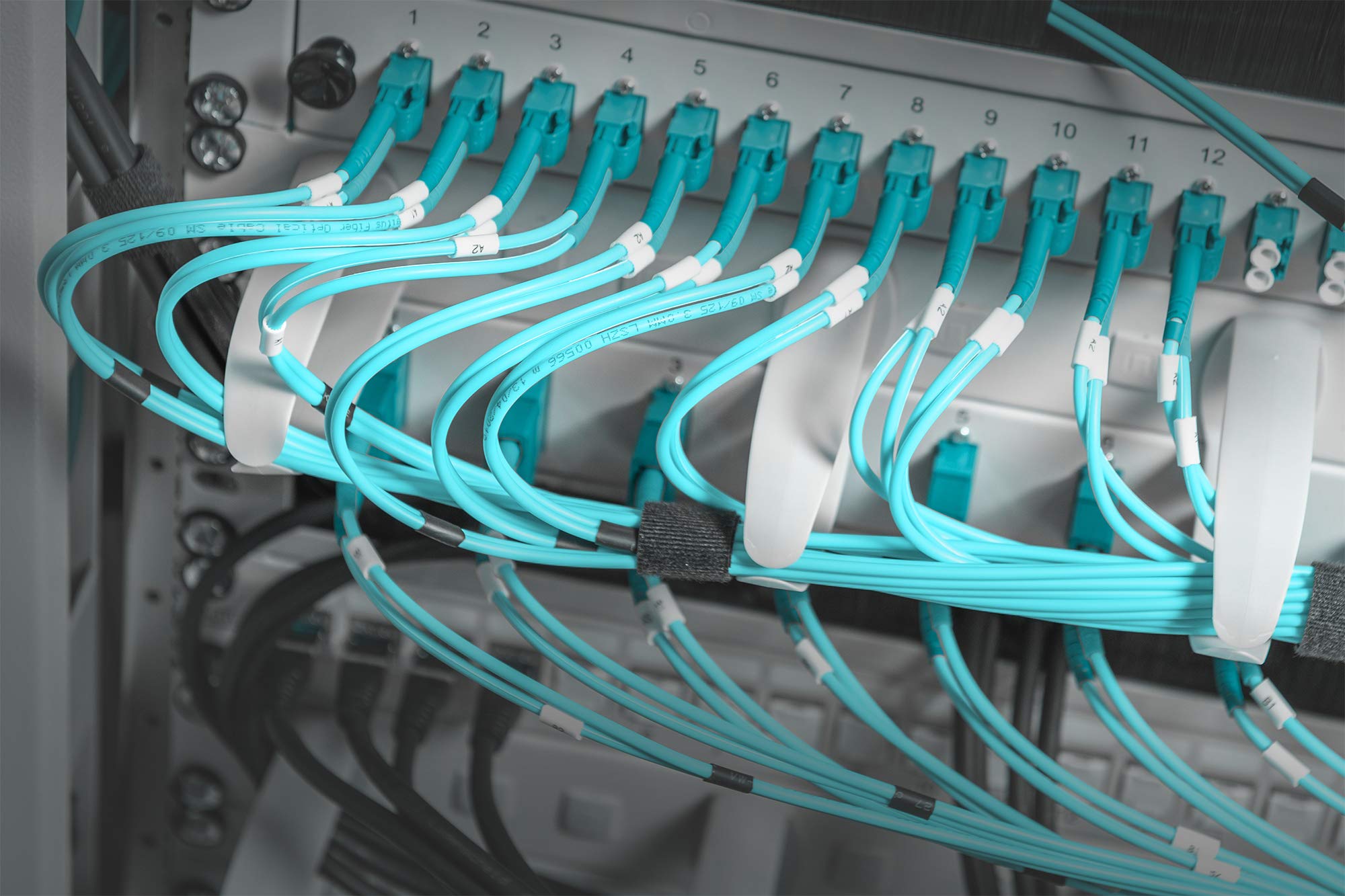 digitus-kabel-rangierpanel-19-zoll-1he-5-b-gel-grau image 2