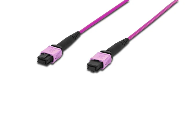 digitus-lwl-glasfaser-patchkabel-om4-multimode-mpo-female-2-m-violett image 1