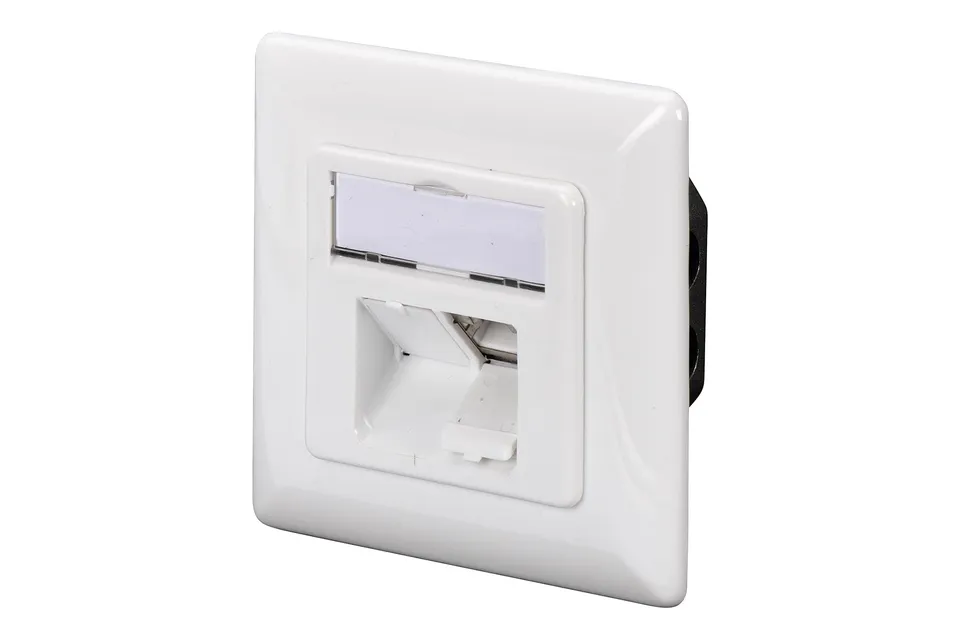 digitus-lsa-netzwerkdose-cat-6a-2-port-wei-10gbit image 1